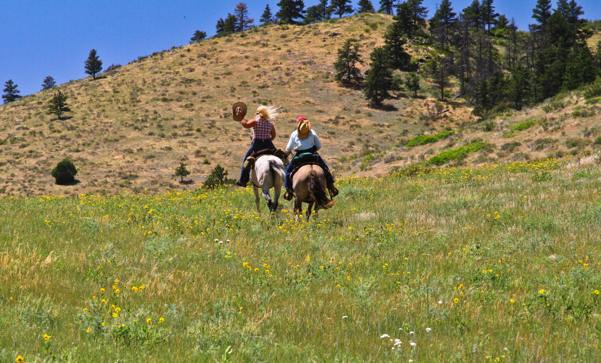 The Votes Are In: Cherokee Park Ranch is 