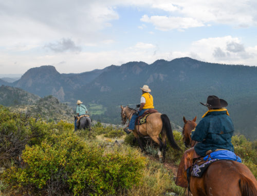 The Best Dude Ranch for Beginner and Advanced Riders